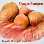 coquille Saint-Jacques déco