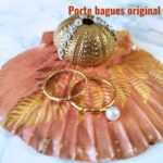 coquille Saint-Jacques déco