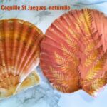 coquille Saint-Jacques déco