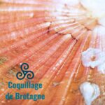 coquille Saint-Jacques déco