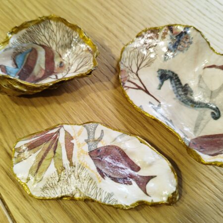 huitre naturelle animaux marins