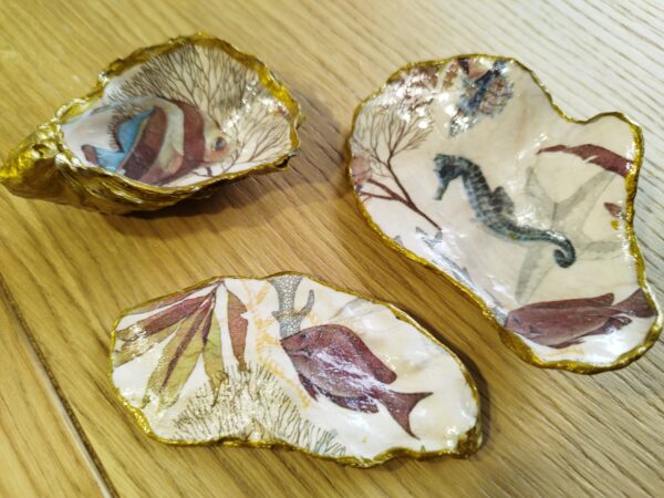 huitre naturelle animaux marins