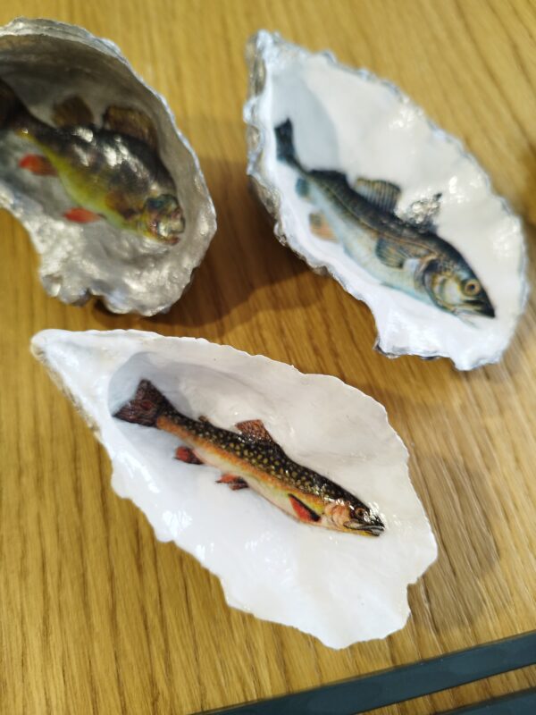 huitre naturelle poissons