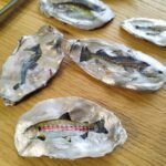 huitre naturelle poissons