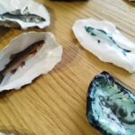 huitre naturelle poissons