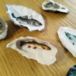 huitre naturelle poissons