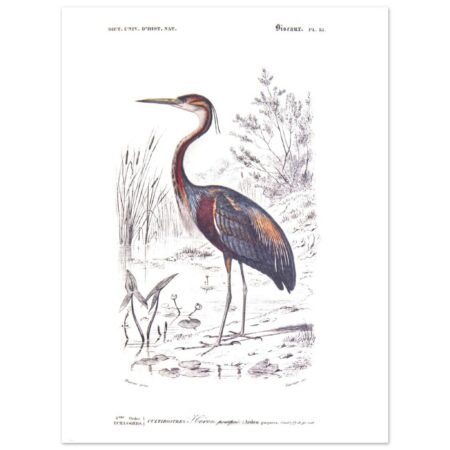 ef1f8f5c-e6fc-47b1-a83f-e2441e0fdef5