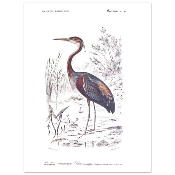 ef1f8f5c-e6fc-47b1-a83f-e2441e0fdef5