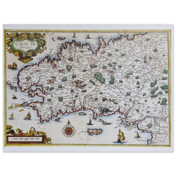 ff188654-0317-4565-b5a8-1557ad5658a2