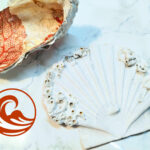 huitre corail rouge