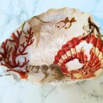 huitre corail rouge