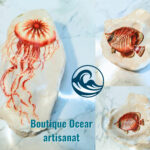 huitre corail rouge
