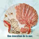 huitre corail rouge