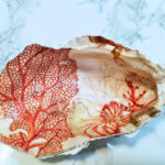 huitre corail rouge