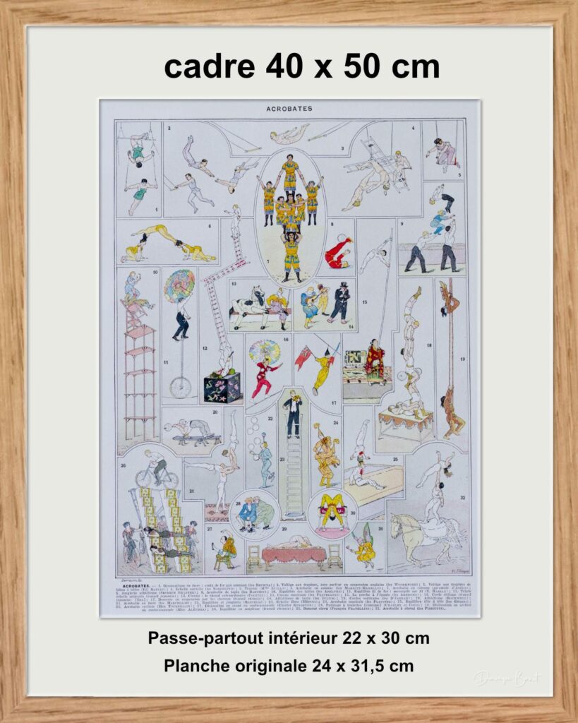 Les acrobates du cirque, planche authentique, idéale pour décoration ou collection