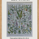 Plantes médicinales Millot