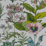 Plantes médicinales Millot