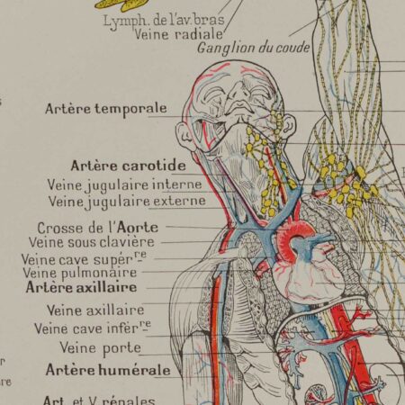 Médical