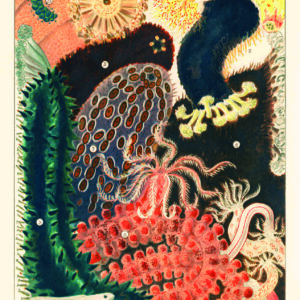 Poster artistique "Trésor de Bêche-de-Mer de la Barrière de Corail" de William Saville-Kent