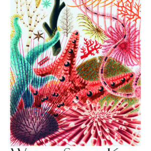 Poster artistique "Éclat des Coraux de la Barrière de Corail" de William Saville-Kent