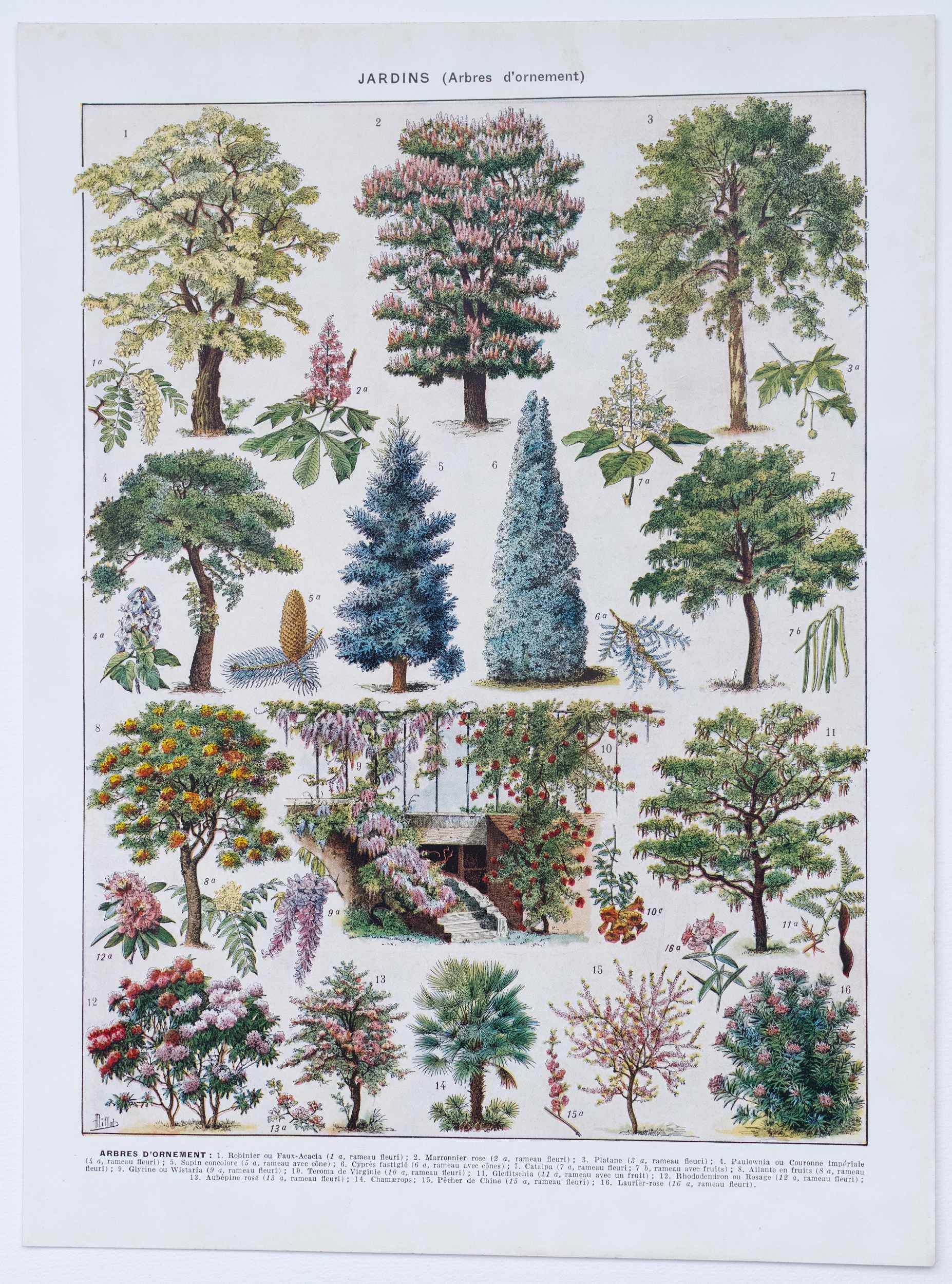 Les Jardins de 1930 : quand la botanique rencontre l’architecture