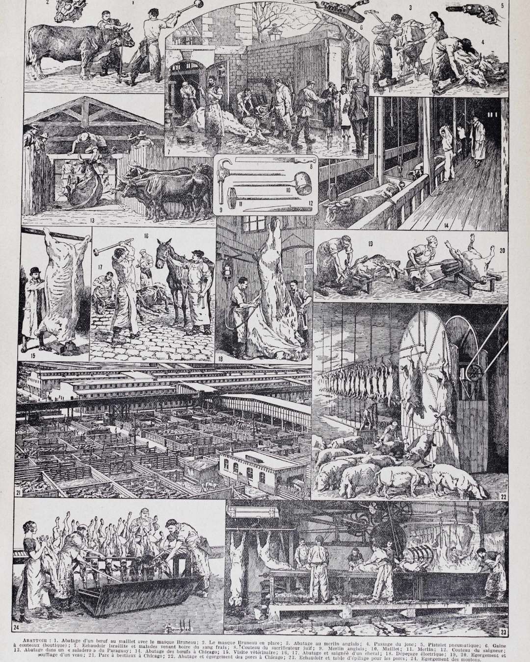 planche ancienne abattoir, gravure originale années 1930