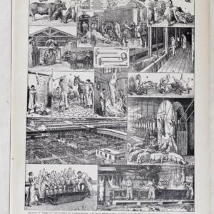 planche ancienne abattoir, gravure originale années 1930