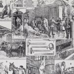planche ancienne abattoir, gravure originale années 1930