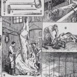 planche ancienne abattoir, gravure originale années 1930