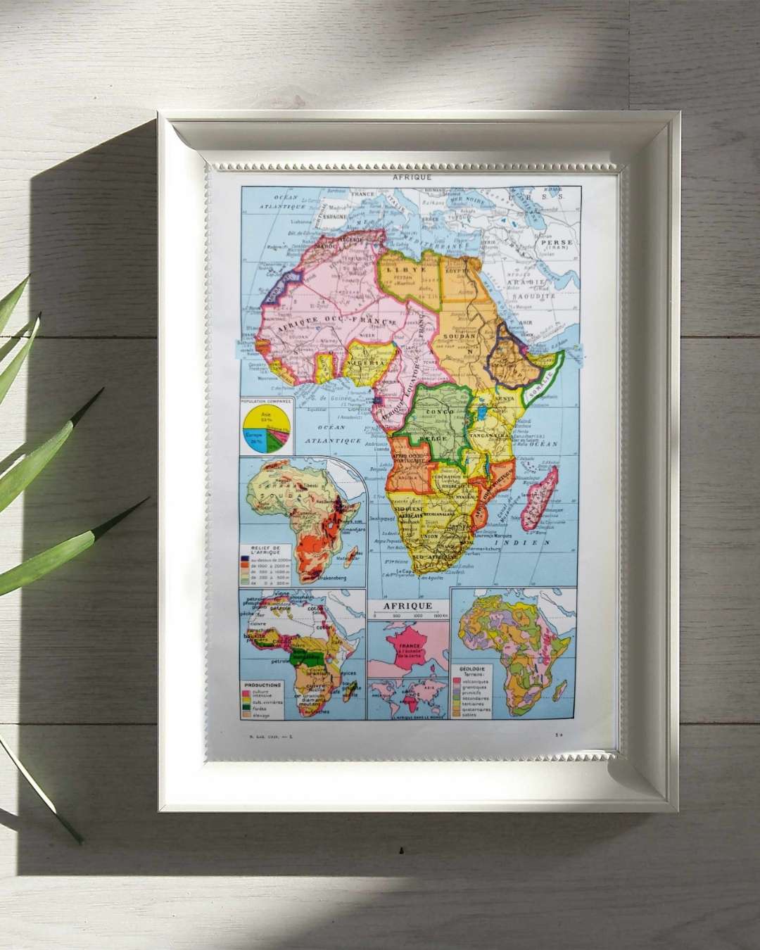 carte politique et thématique de l’afrique, 1948