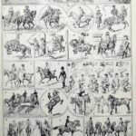 planche ancienne équitation, illustration sportive années 1930