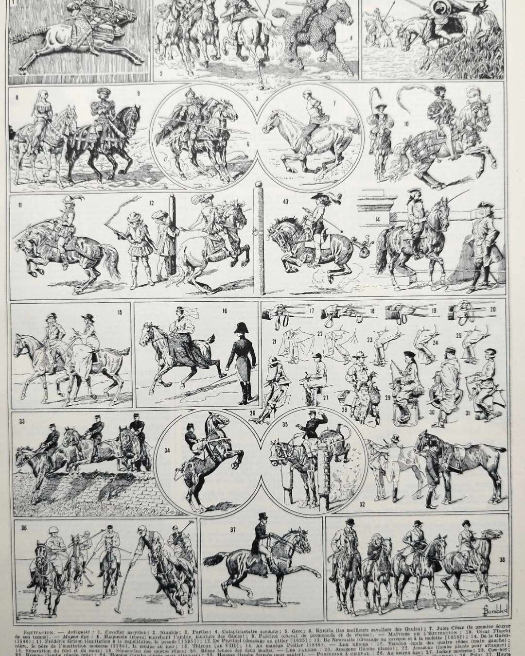 planche ancienne équitation, illustration sportive années 1930
