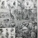 carte vintage de l’afrique et faune, flore et peuples (1897)
