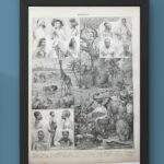 carte vintage de l’afrique et faune, flore et peuples (1897)
