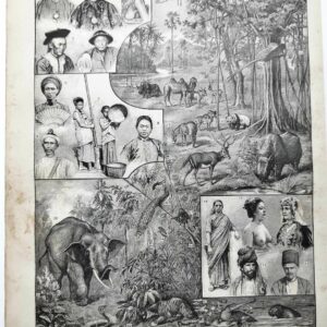 asie, un continent de contrastes et de cultures (1897)