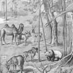asie, un continent de contrastes et de cultures (1897)