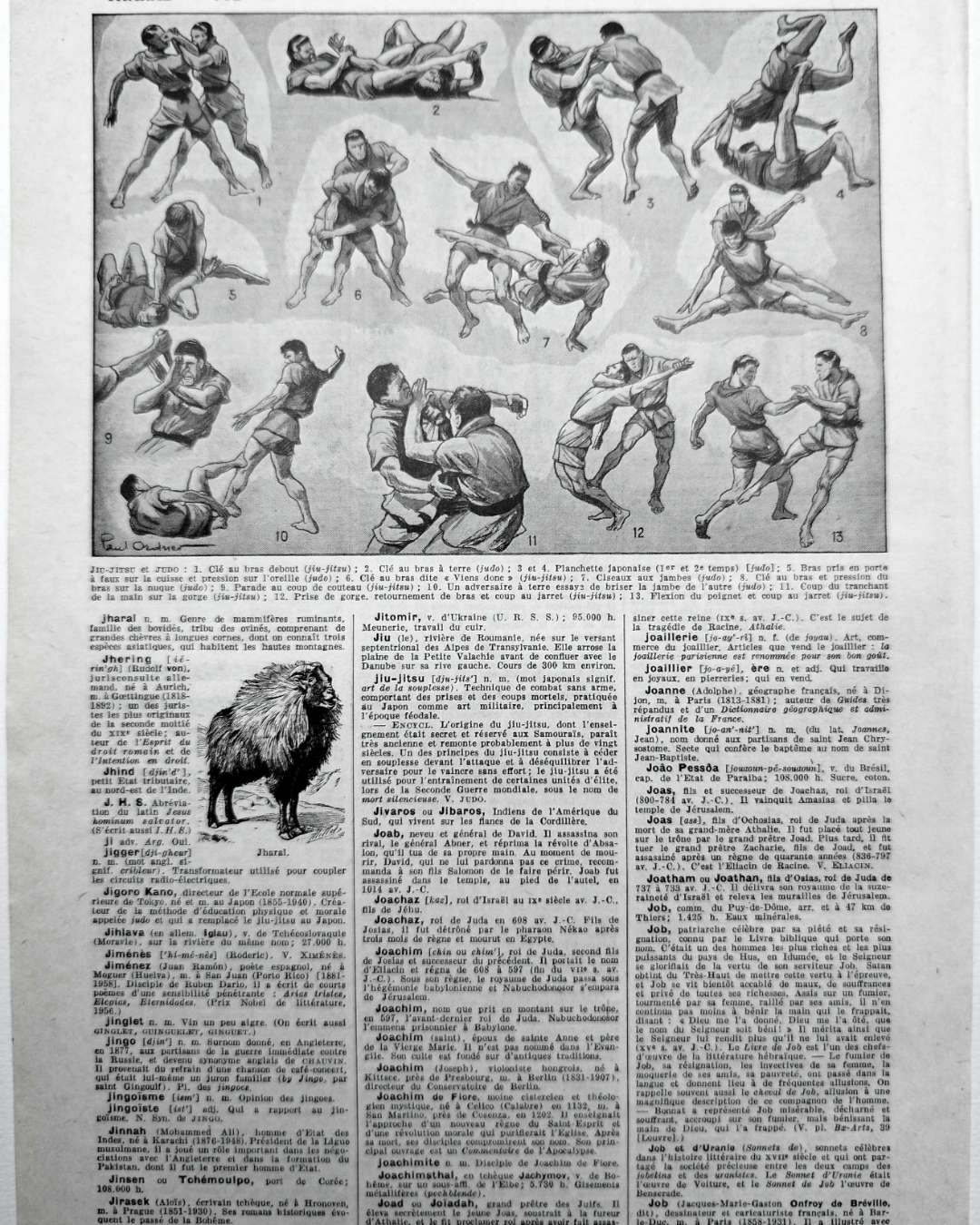 les pratiques sportives illustrées en 1948, 6 planches originales
