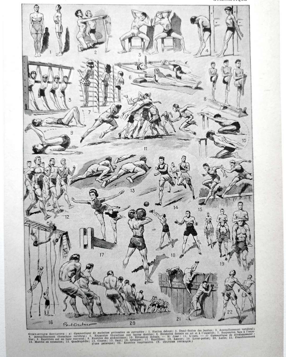 les pratiques sportives illustrées en 1948, 6 planches originales