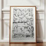 les pratiques sportives illustrées en 1948, 6 planches originales