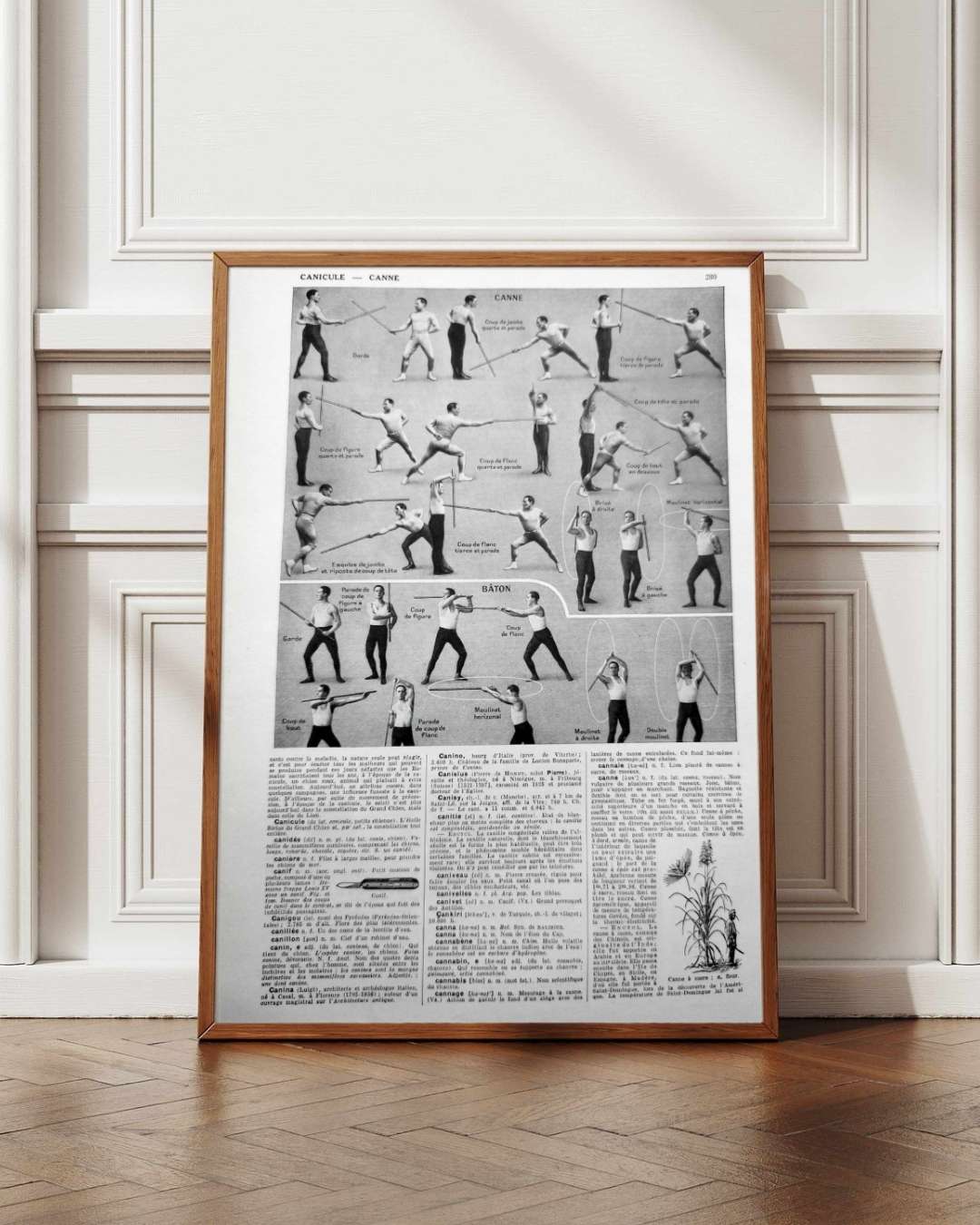 les pratiques sportives illustrées en 1948, 6 planches originales