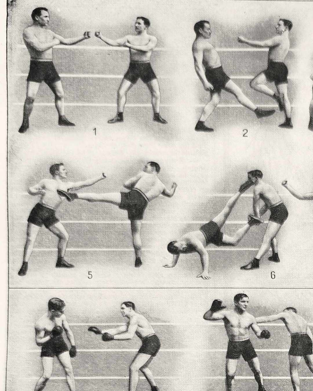 les pratiques sportives illustrées en 1948, 6 planches originales