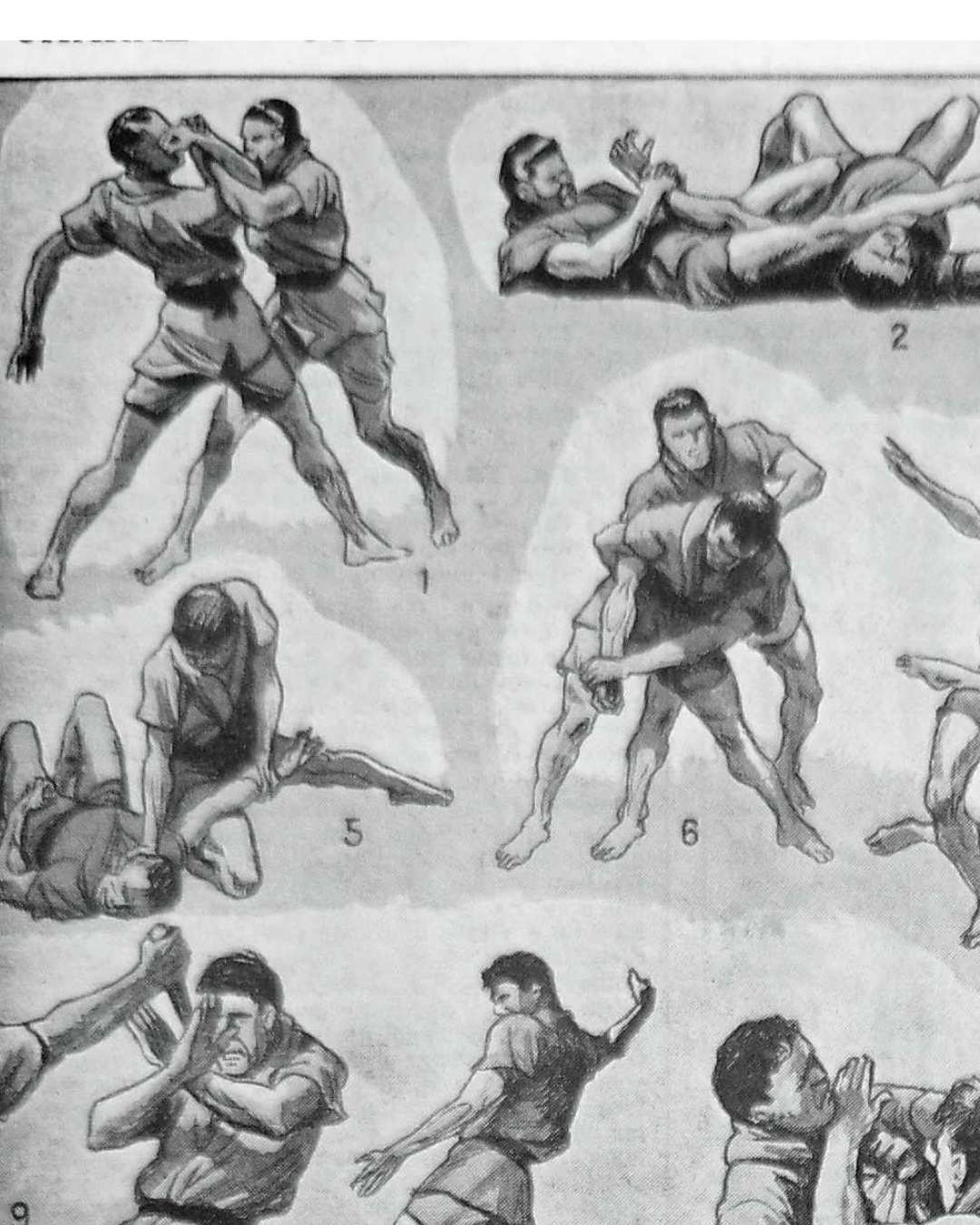 les pratiques sportives illustrées en 1948, 6 planches originales