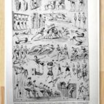 les pratiques sportives illustrées en 1948, 6 planches originales