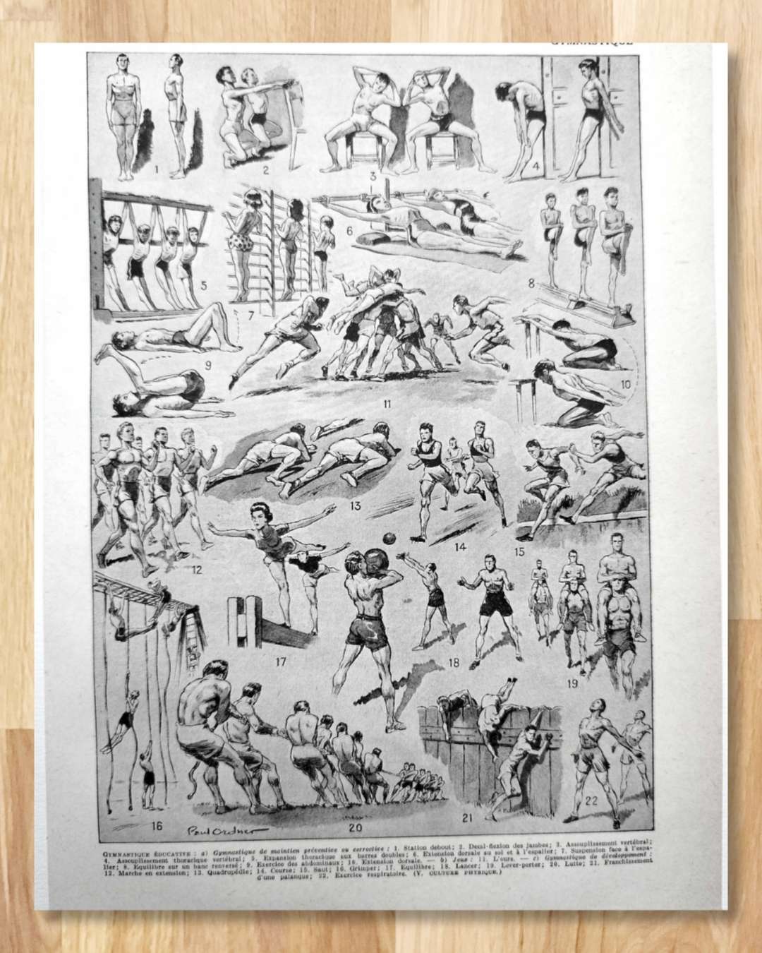 les pratiques sportives illustrées en 1948, 6 planches originales