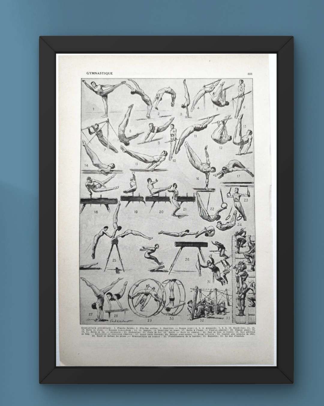 les pratiques sportives illustrées en 1948, 6 planches originales