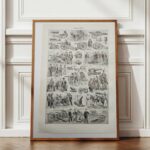 planche historique d’artillerie, illustrations noir et blanc vers 1948