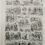 planche zoologique des arthropodes, original 1948