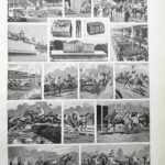 les courses hippiques, les compétitions en 1948