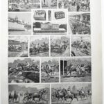 les courses hippiques, les compétitions en 1948
