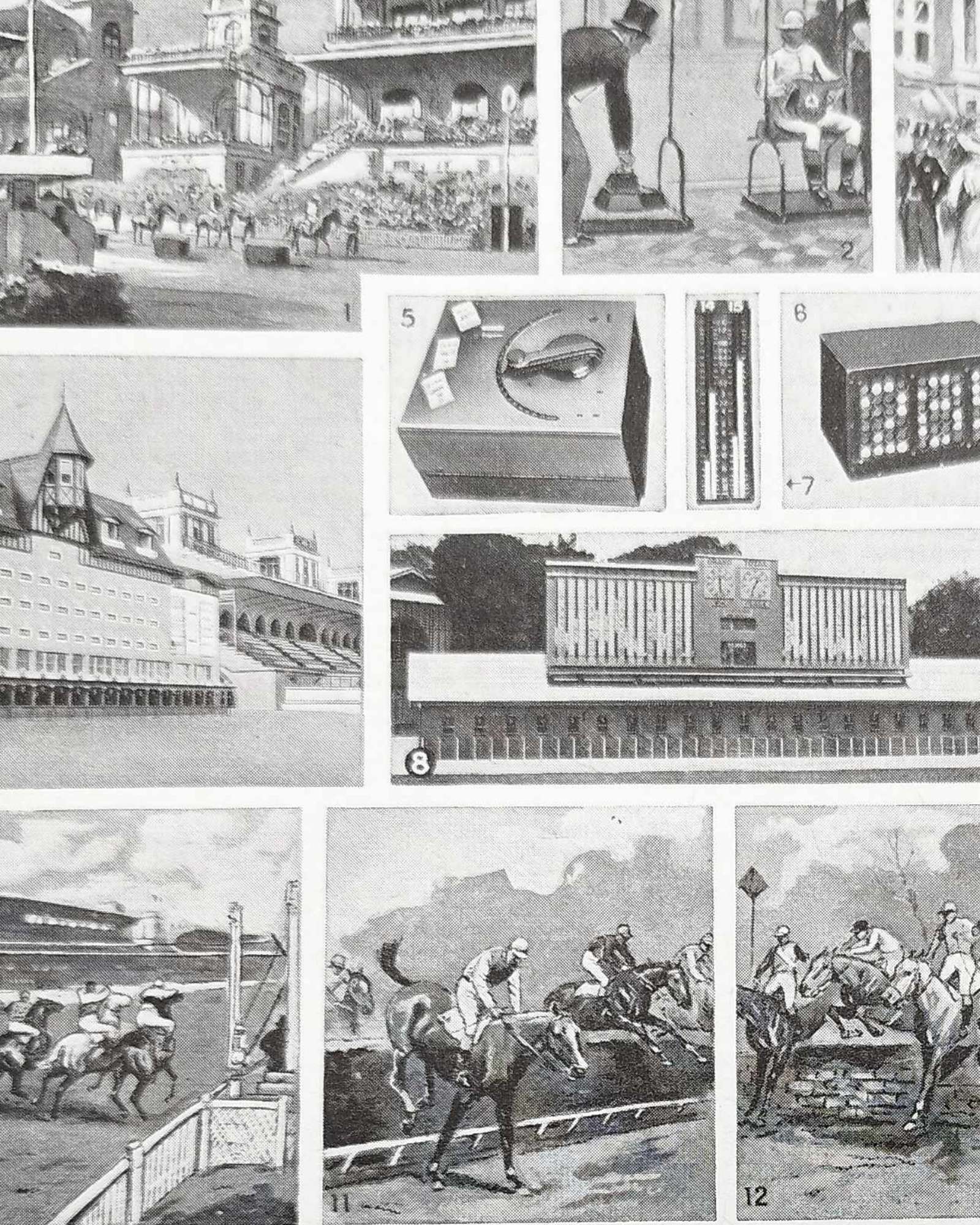 les courses hippiques, les compétitions en 1948